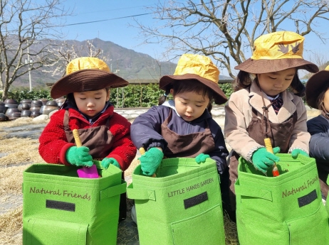 감자야 쑥쑥 자라라